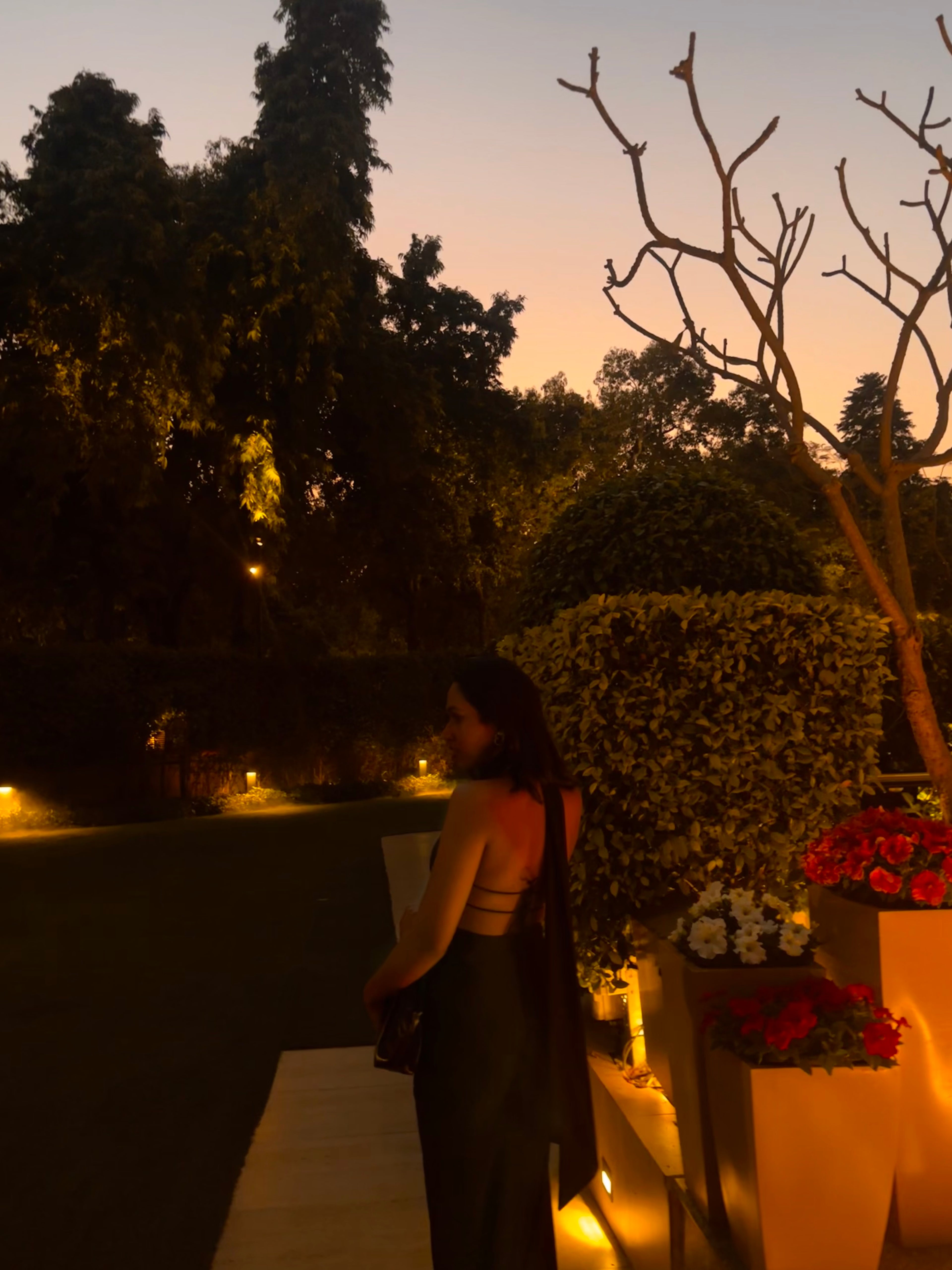 Midnight Muse Halter Gown